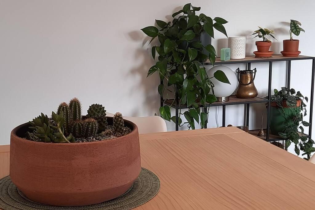 Apartamento Soleado Con Garaje *